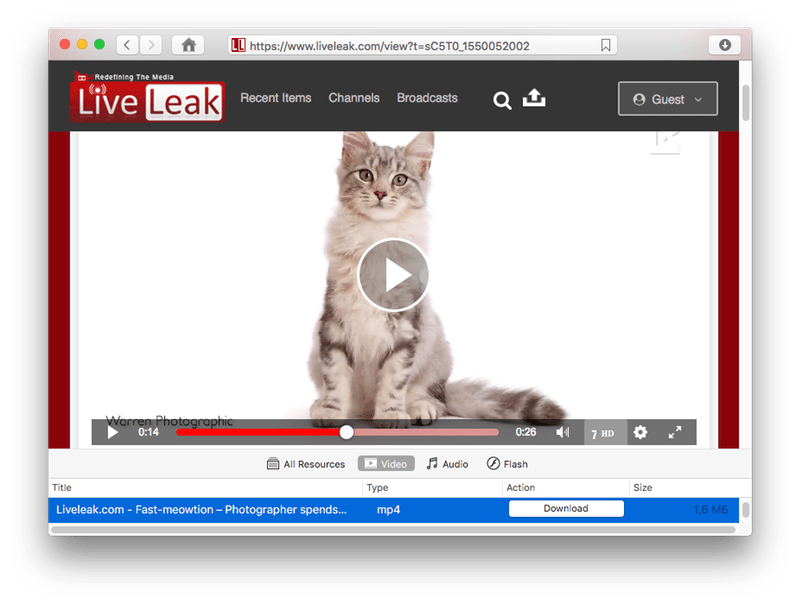 The Best LiveLeak Downloader Working in 2020